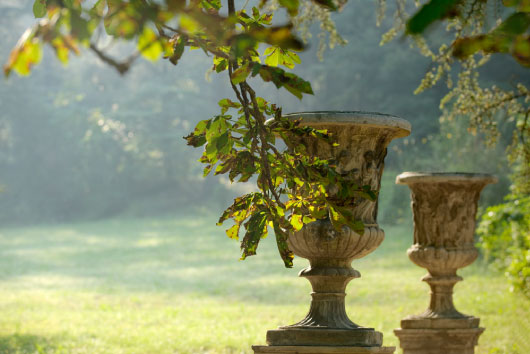 Château Margüi - Rosé - Frankrijk - Coteaux Varois en Provence