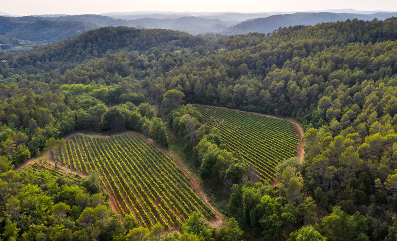 Château Margüi - Wit - Frankrijk - Coteaux Varois en Provence